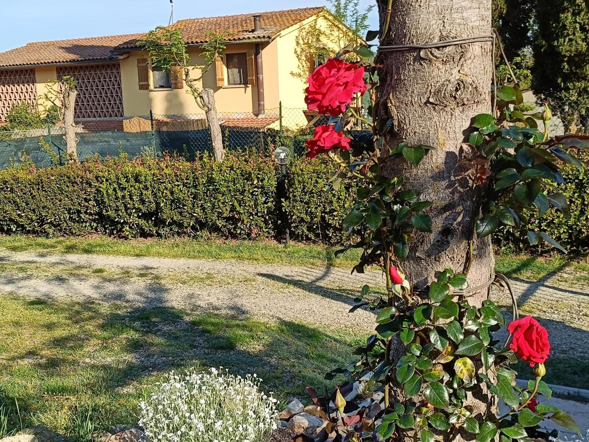 Casa Orneto Villa Поджибонси Екстериор снимка